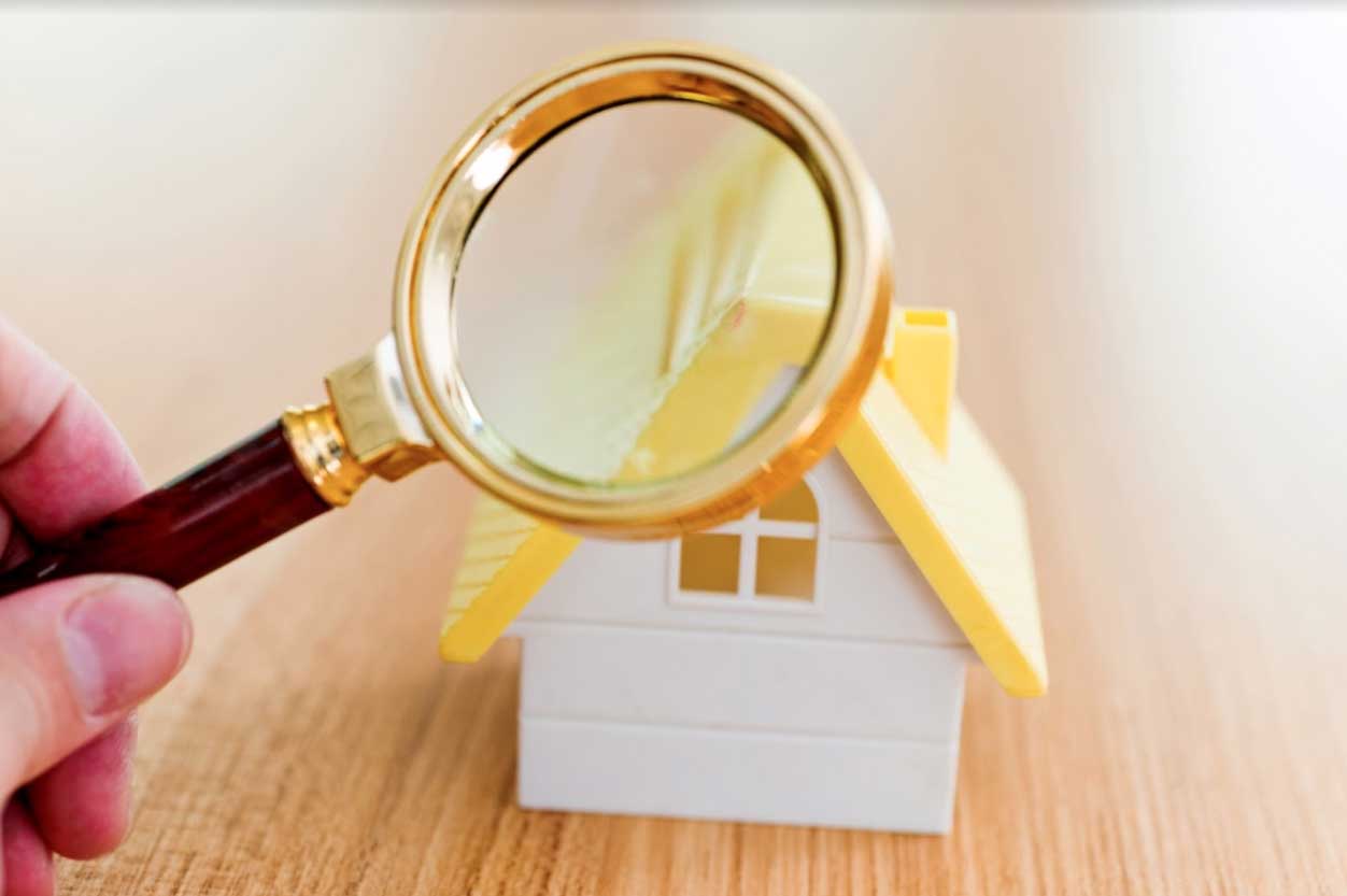 Important Reasons Why A Pre-Purchase Home Pest Inspection Is Crucial