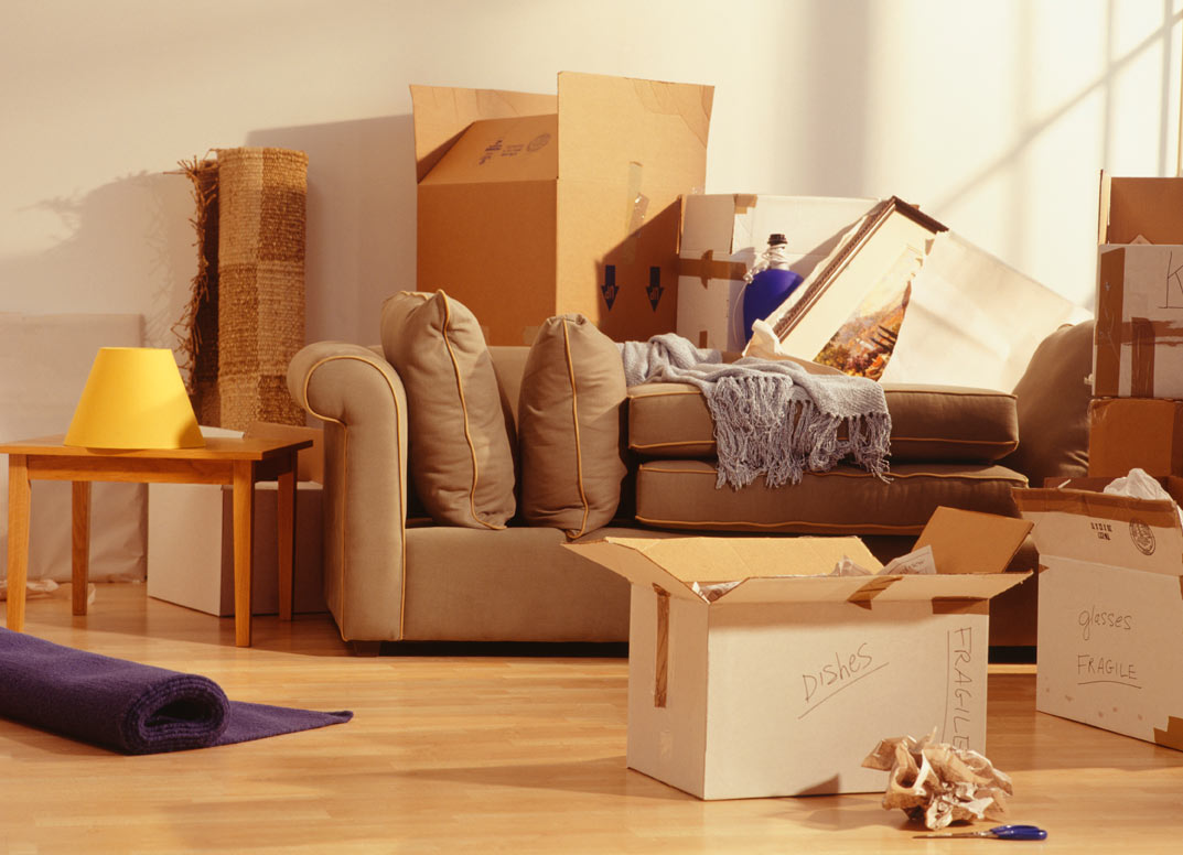 How Can A Removal Company Help You To Plan Your Move?