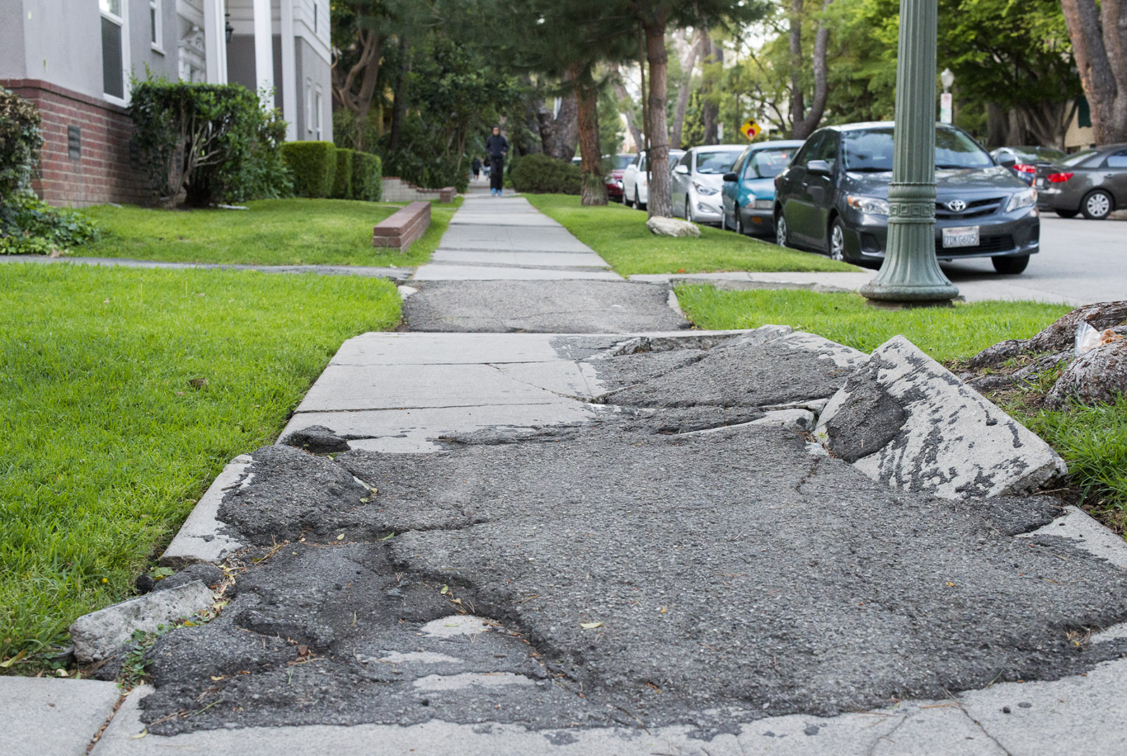 Sidewalk Repair: Should Cities Consider Raising Over Replacing?