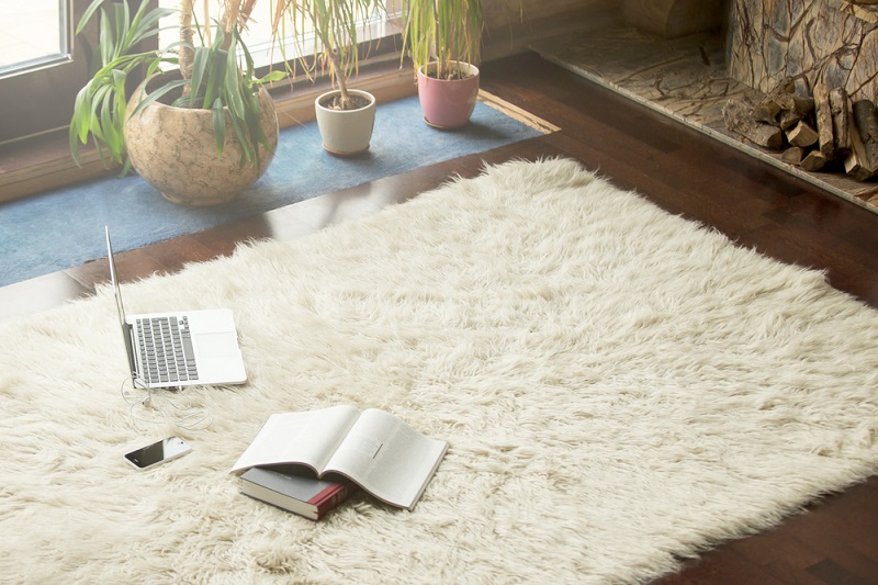 How Do You Choose The Best Carpet Mats For Your Home Improvement?