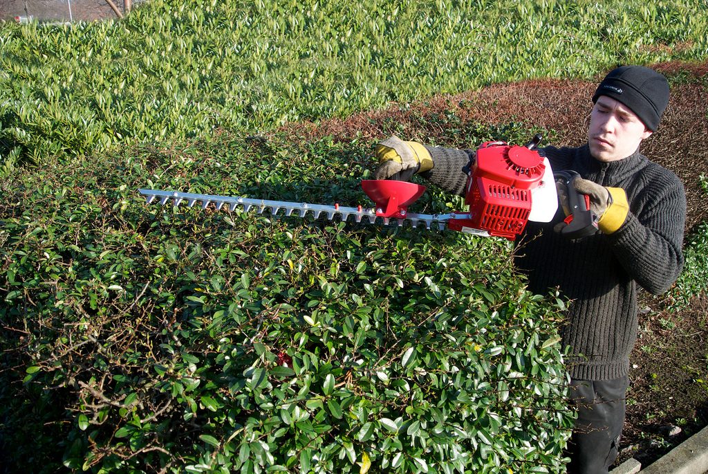 How Can Wet-Hedges Be Carefully Cut With Gas Hedge Trimmer