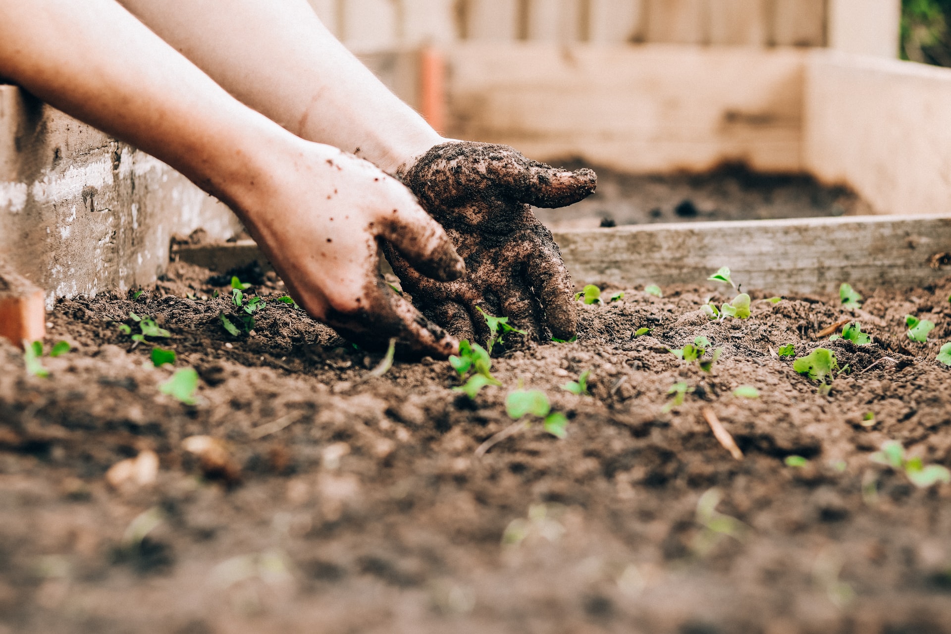 Quick Tips To Maximize Small Garden Productivity
